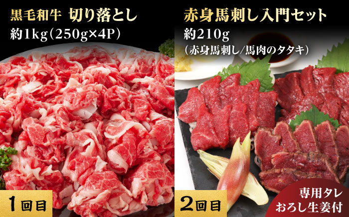 【4回定期便】熊本県産 黒毛和牛 馬刺 食べ比べ【有限会社 九州食肉産業】 [ZDQ171]