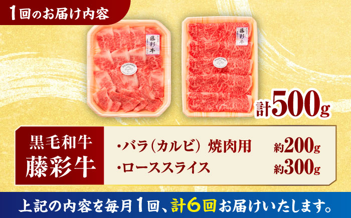【6回定期便】くまもと黒毛和牛「藤彩牛」2種の食べ比べ計500g 3900【有限会社 スイートサプライなかぞの】 [ZDT128]
