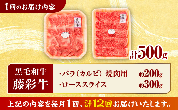 【12回定期便】くまもと黒毛和牛「藤彩牛」2種の食べ比べ計500g 3900【有限会社 スイートサプライなかぞの】 [ZDT129]