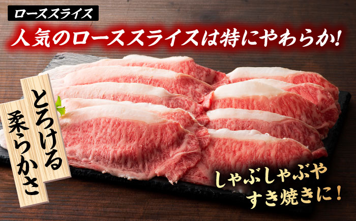 【12回定期便】くまもと黒毛和牛「藤彩牛」サーロインステーキと2種の食べ比べ  3903【有限会社 スイートサプライなかぞの】 [ZDT141]