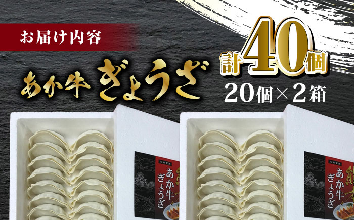 熊本和牛 あか牛ぎょうざ 20個×2箱【有限会社 三協畜産】 国産  餃子 ぎょうざ ギョウザ 熊本和牛  [ZEB043]
