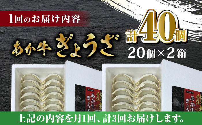 【全3回定期便】熊本和牛 あか牛ぎょうざ 20個×2箱【有限会社 三協畜産】 国産  餃子 ぎょうざ ギョウザ 熊本和牛 和牛 牛 定期 定期便  [ZEB060]
