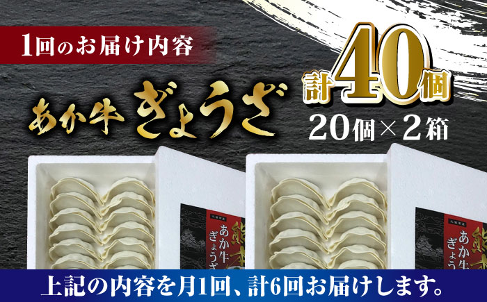 【全6回定期便】熊本和牛 あか牛ぎょうざ 20個×2箱【有限会社 三協畜産】 餃子 ぎょうざ ギョウザ 熊本和牛  [ZEB077]