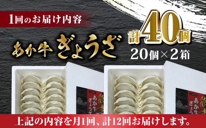 【全12回定期便】熊本和牛 あか牛ぎょうざ 20個×2箱【有限会社 三協畜産】 餃子 ぎょうざ ギョウザ 熊本和牛 和牛 牛  [ZEB092]