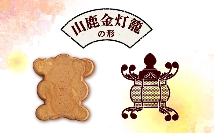 【6回定期便】【訳あり】千人灯籠 せんべい 170g×4袋 手焼き 煎餅【同田貫本舗】 [ZEF005]