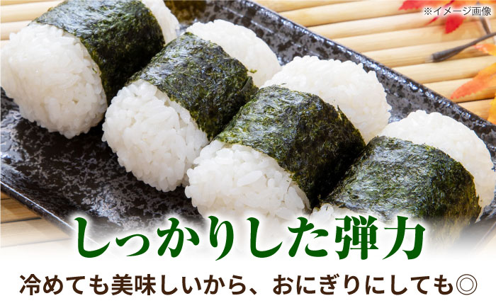 森のくまさん 2kg 【道の駅 水辺プラザかもと】 [ZEG015]