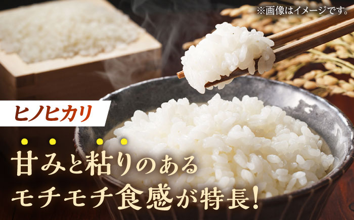 〈令和7年度新米〉ヒノヒカリ 白米 10kg （5kg×2袋）【竹下農園】 [ZEL001]