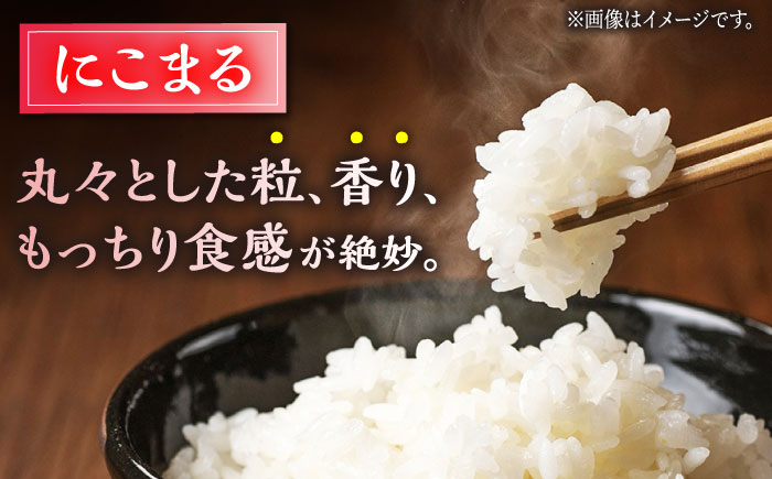 【6回定期便】 ヒノヒカリ・にこまる 白米 食べ比べ 計10kg（5kg×2袋）【竹下農園】 [ZEL012]