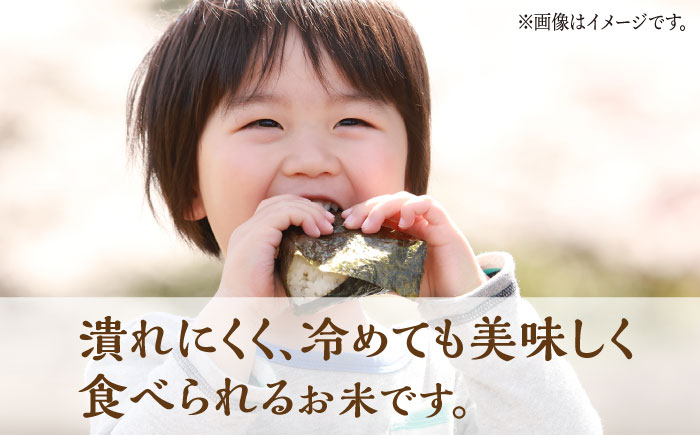 〈令和7年度新米〉ヒノヒカリ 白米 5kg　【竹下農園】 [ZEL014]