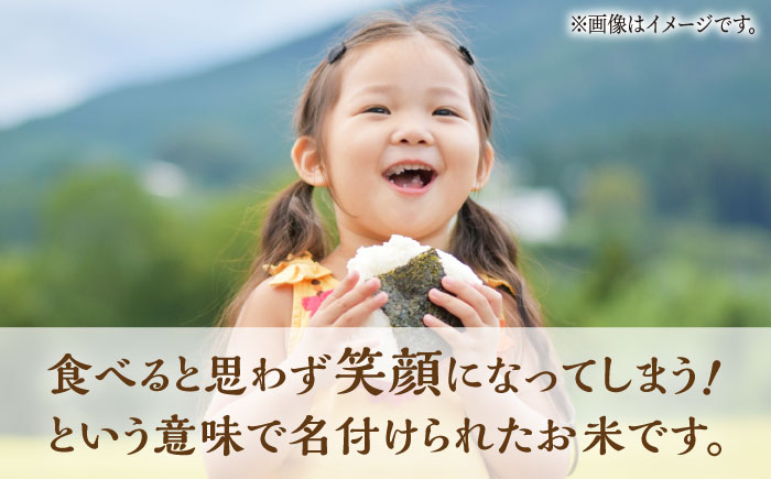 【3回定期便】 にこまる 白米 5kg 【竹下農園】 [ZEL019]