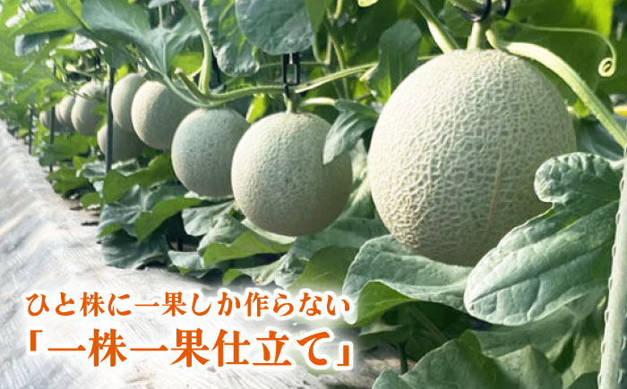 【先行予約】年内発送 愛情 メロン 2玉【とみおか農園】 [ZEM001]