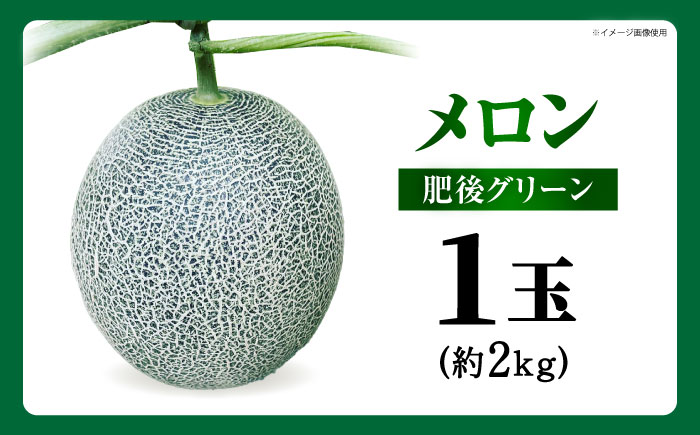 【先行予約】 肥後グリーン メロン 約2kg（1玉） 【とみおか農園】 [ZEM005]