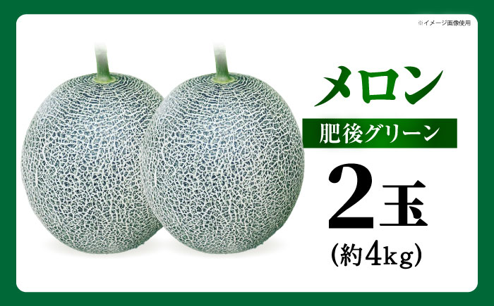 【先行予約】  肥後グリーン メロン 約4kg（2玉） 【とみおか農園】 [ZEM006]