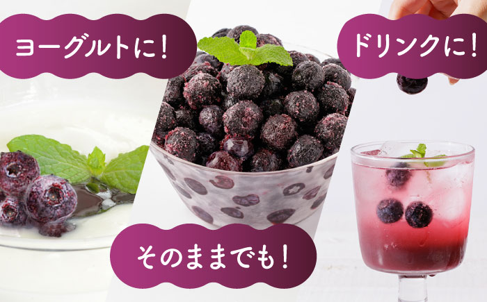 【6回定期便】大粒 冷凍ブルーベリー 約1000g（約500g×2pc）【すみれファーム】 [ZEP011]