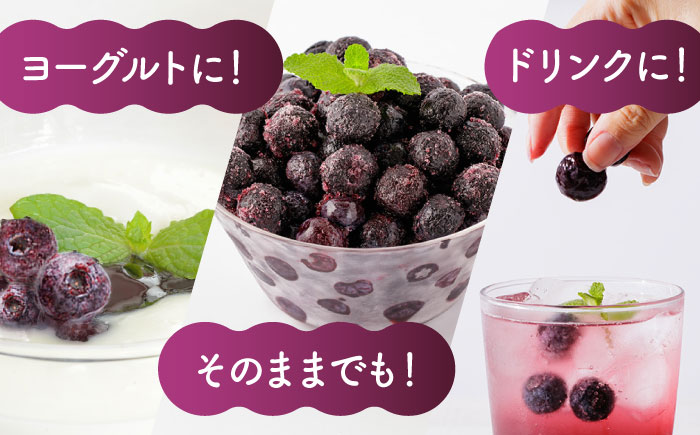 【3回定期便】大粒 冷凍ブルーベリー 約1500g（約500g×3pc）【すみれファーム】 [ZEP013]