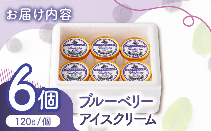 ブルーベリーアイスクリーム 6個セット 【すみれファーム】 [ZEP029]