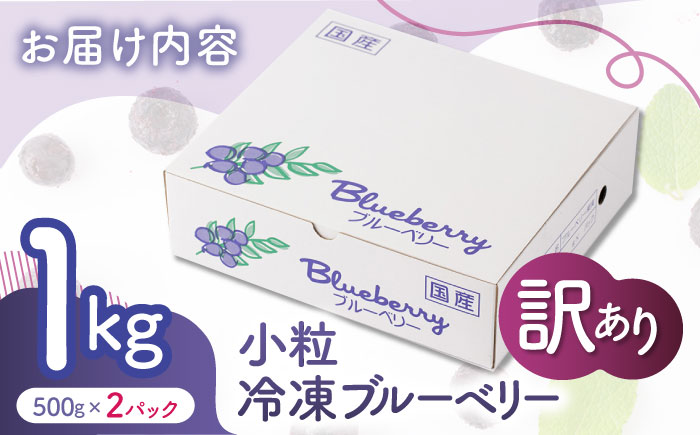 【訳あり】 冷凍ブルーベリー 小粒 約1kg（約500g×2pc） 【すみれファーム】 [ZEP045]