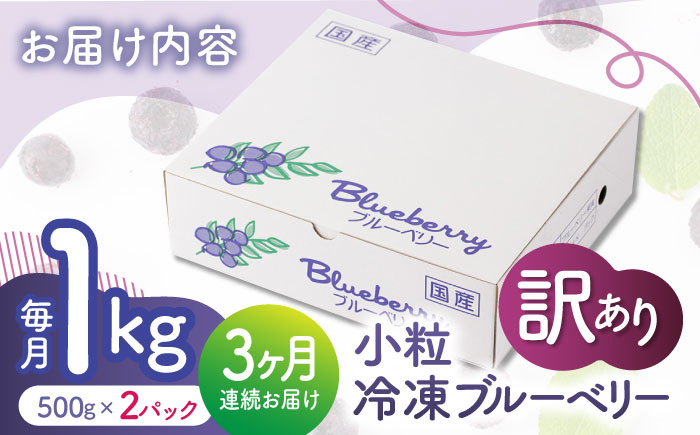 【3回定期便】【訳あり】 冷凍ブルーベリー 小粒 約1kg（約500g×2pc） 【すみれファーム】 [ZEP048]