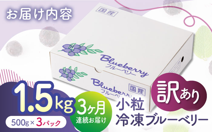 【3回定期便】【訳あり】 冷凍ブルーベリー 小粒 約1.5kg（約500g×3pc） 【すみれファーム】 [ZEP049]