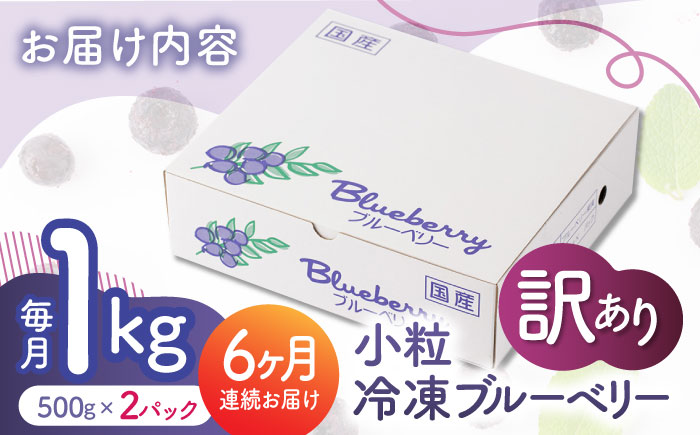 【6回定期便】【訳あり】 冷凍ブルーベリー 小粒 約1kg（約500g×2pc） 【すみれファーム】 [ZEP051]