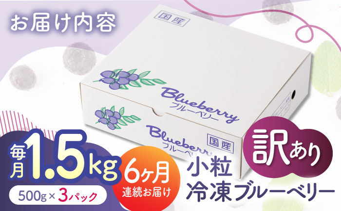 【6回定期便】【訳あり】 冷凍ブルーベリー 小粒 約1.5kg（約500g×3pc） 【すみれファーム】 [ZEP052]