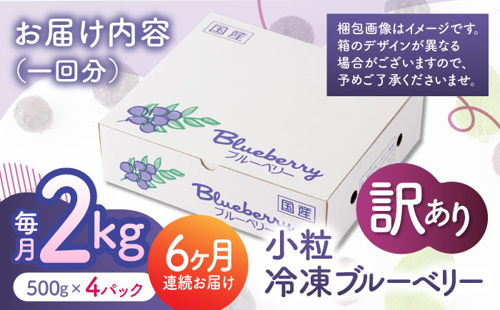 【6回定期便】【訳あり】 冷凍ブルーベリー 小粒 約2kg（約500g×4pc） 【すみれファーム】 [ZEP053]