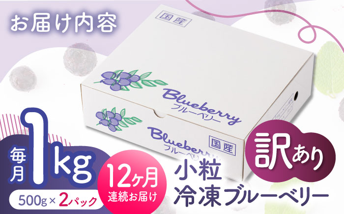 【12回定期便】【訳あり】 冷凍ブルーベリー 小粒 約1kg（約500g×2pc） 【すみれファーム】 [ZEP054]