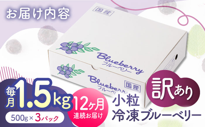 【12回定期便】【訳あり】 冷凍ブルーベリー 小粒 約1.5kg（約500g×3pc） 【すみれファーム】 [ZEP055]