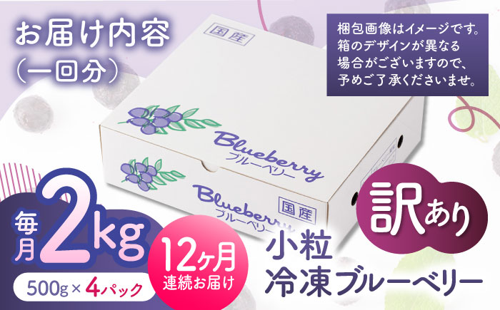 【先行予約】【12回定期便】【訳あり】 冷凍ブルーベリー 小粒 約2kg（約500g×4pc） 【すみれファーム】 [ZEP056]