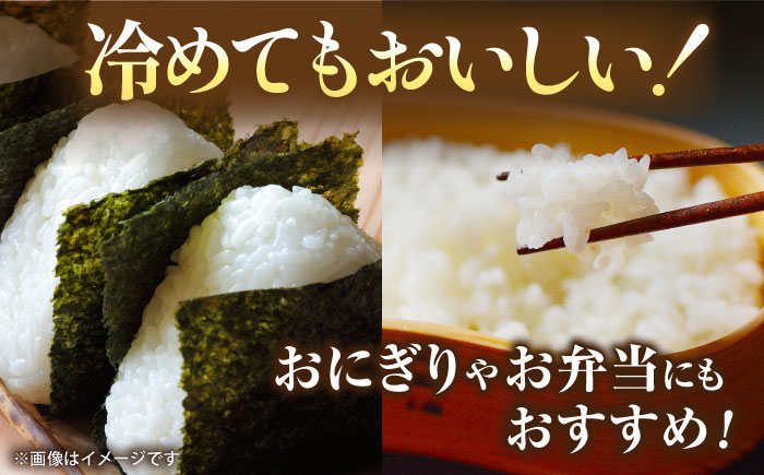 〈令和7年度新米〉 熊本県産　お米 森のくまさん 5kg 【すみれファーム】 新米 令和7年産 [ZEP072]