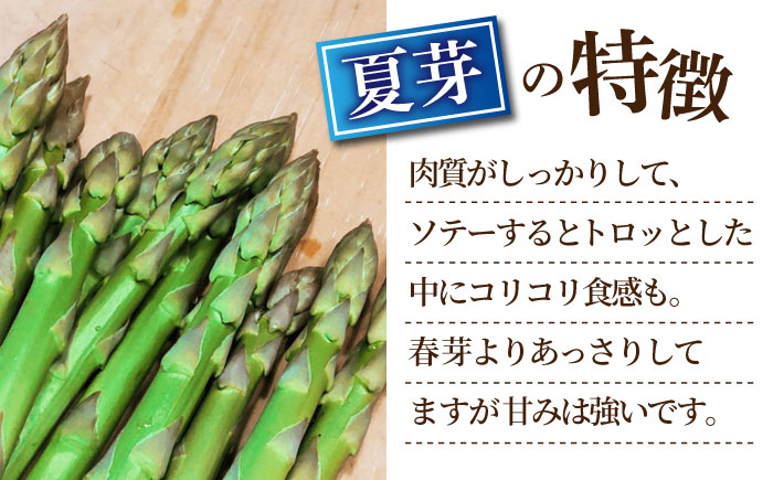 【2026年】 5～9月配送 極上あまうま 夏芽 アスパラガス M～L 1kg （40～50本）【Nature-falo】[ZEQ002]