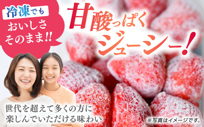 冷凍 いちご ゆうべに 約4kg【熊本ベリー】 [ZER015]