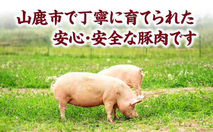 【3回定期便】豚ロースステーキ＆スライスセット 約1.2kg（ステーキ用 約150g×4枚・スライス 約300g×2pc）【吉里精肉】 [ZEW102]