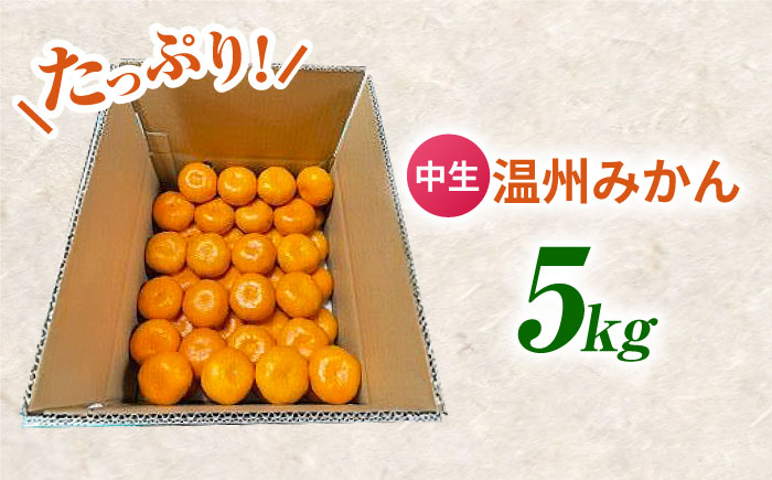 中生温州みかん 5kg 【池田農園】 [ZEX003]