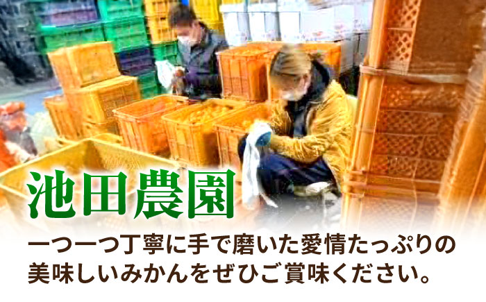 【先行予約】【全4回定期便】 温州みかん 3kg 極早生 早生 中生 晩生 みかん 【池田農園】 [ZEX011]