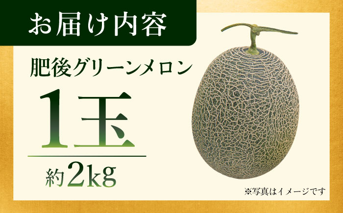 【先行予約】肥後グリーンメロン 約2kg(1玉入)  メロン グリーンメロン フルーツ 熊本県産 【日本フルーツ株式会社】 [ZFJ005]