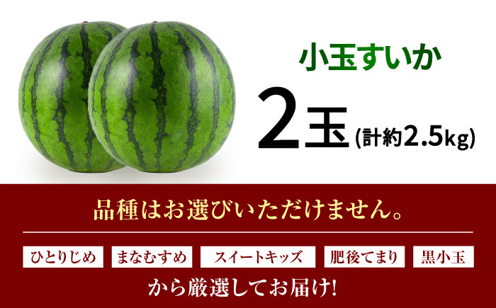 【先行予約】小玉スイカ 3L以上 2玉入り 約2.5kg 【日本フルーツ株式会社】 [ZFJ007]