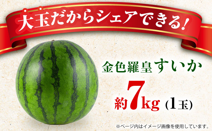 【先行予約】金色羅皇 スイカ 2L以上 1玉 約7kg すいか 野菜 フルーツ 果物 【日本フルーツ株式会社】 [ZFJ008]