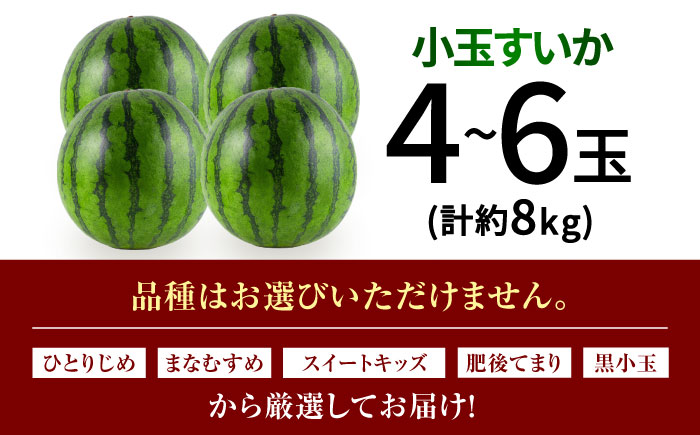 【先行予約】小玉スイカ 3L～M　4～6玉入り 約8kg 【日本フルーツ株式会社】 [ZFJ012]