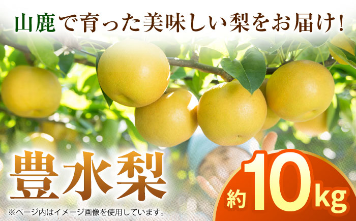 【先行予約】豊水梨　約10kg  梨 ナシ フルーツ 果物 【日本フルーツ株式会社】 [ZFJ014]