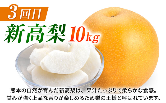 【先行予約】【3回定期便】 梨 約10kg 計約30kg（豊水・秋月・新高）  梨 ナシ フルーツ 果物 【日本フルーツ株式会社】 [ZFJ025]