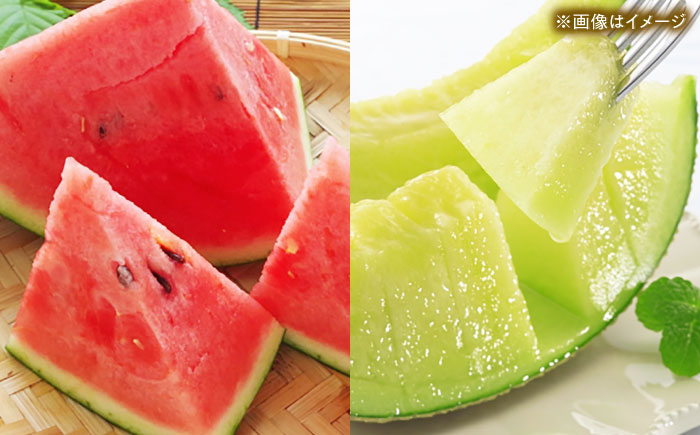 【先行予約】 小玉スイカ&肥後グリーンメロンの食べ比べ 各2玉（計4玉 約7kg） すいか 小玉 メロン グリーンメロン 熊本 フルーツ 野菜 果物 【日本フルーツ株式会社】 [ZFJ041]