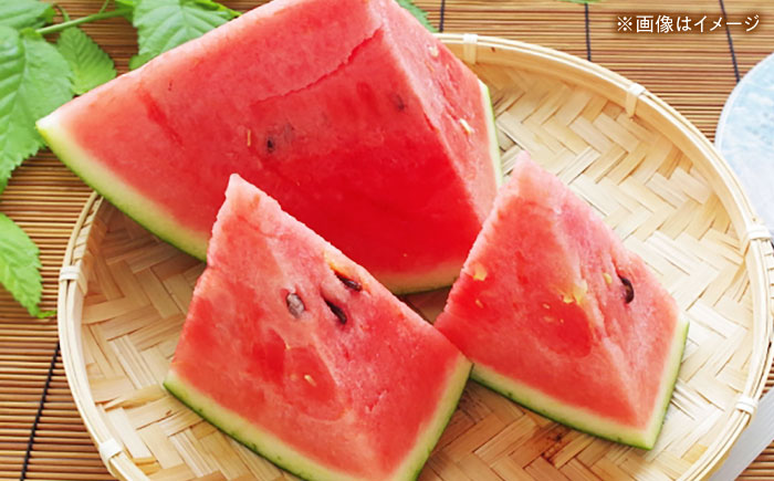 【先行予約】 大玉スイカ 3Lサイズ　2玉入り 約16kg すいか 大玉 熊本 フルーツ 野菜 果物 【日本フルーツ株式会社】 [ZFJ046]