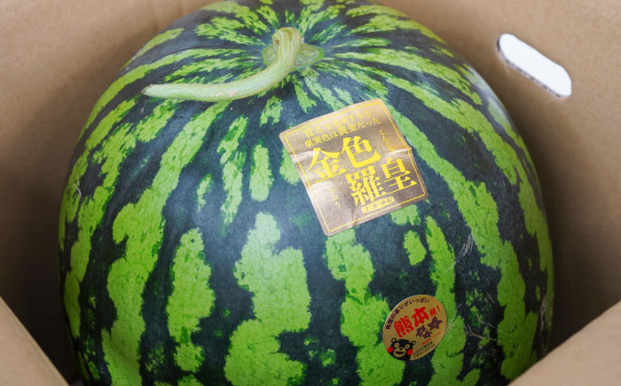 【先行予約】 金色羅皇 スイカ 3Lサイズ 2玉 約14kg すいか 黄色 熊本 フルーツ 野菜 果物 【日本フルーツ株式会社】 [ZFJ048]