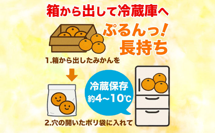 【先行予約】 温州みかん 訳あり サイズミックス 3S-3L 約10kg みかん 蜜柑 サイズ 不選別 家庭用 柑橘 フルーツ 果物 【日本フルーツ株式会社】 [ZFJ051]