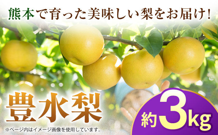【先行予約】豊水梨　約3kg 梨 ナシ フルーツ 果物 【日本フルーツ株式会社】 [ZFJ060]