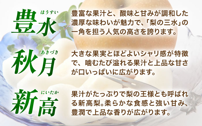【先行予約】厳選おまかせ梨 約1.8kg 梨 豊水梨 秋月梨 新高梨 果物 フルーツ 【日本フルーツ株式会社】 [ZFJ065]