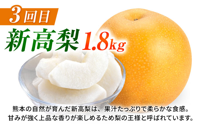 【先行予約】【3回定期便】 梨 約1.8kg 計約5.4kg（豊水・秋月・新高）  梨 ナシ フルーツ 果物 【日本フルーツ株式会社】 [ZFJ069]
