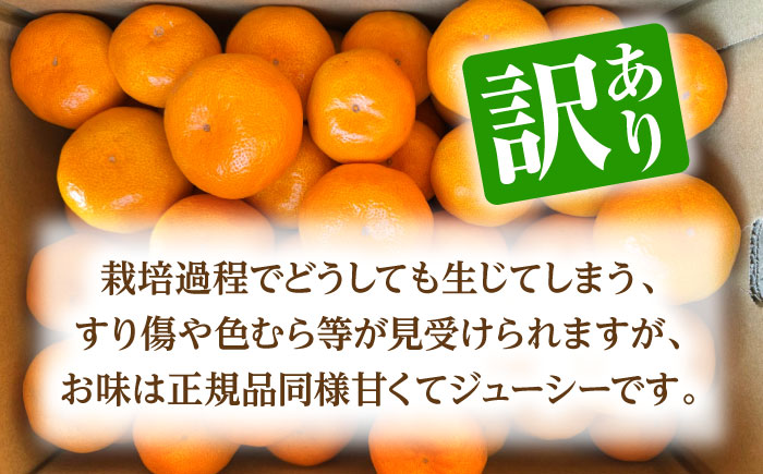【訳あり】 温州みかん 『白川』 約5kg S～Lサイズ 【奥村果実園】 [ZFK003]