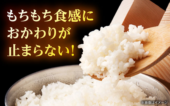 【先行予約】 令和8年度産 ヒノヒカリ 白米 10kg 【奥村果実園】 [ZFK010]